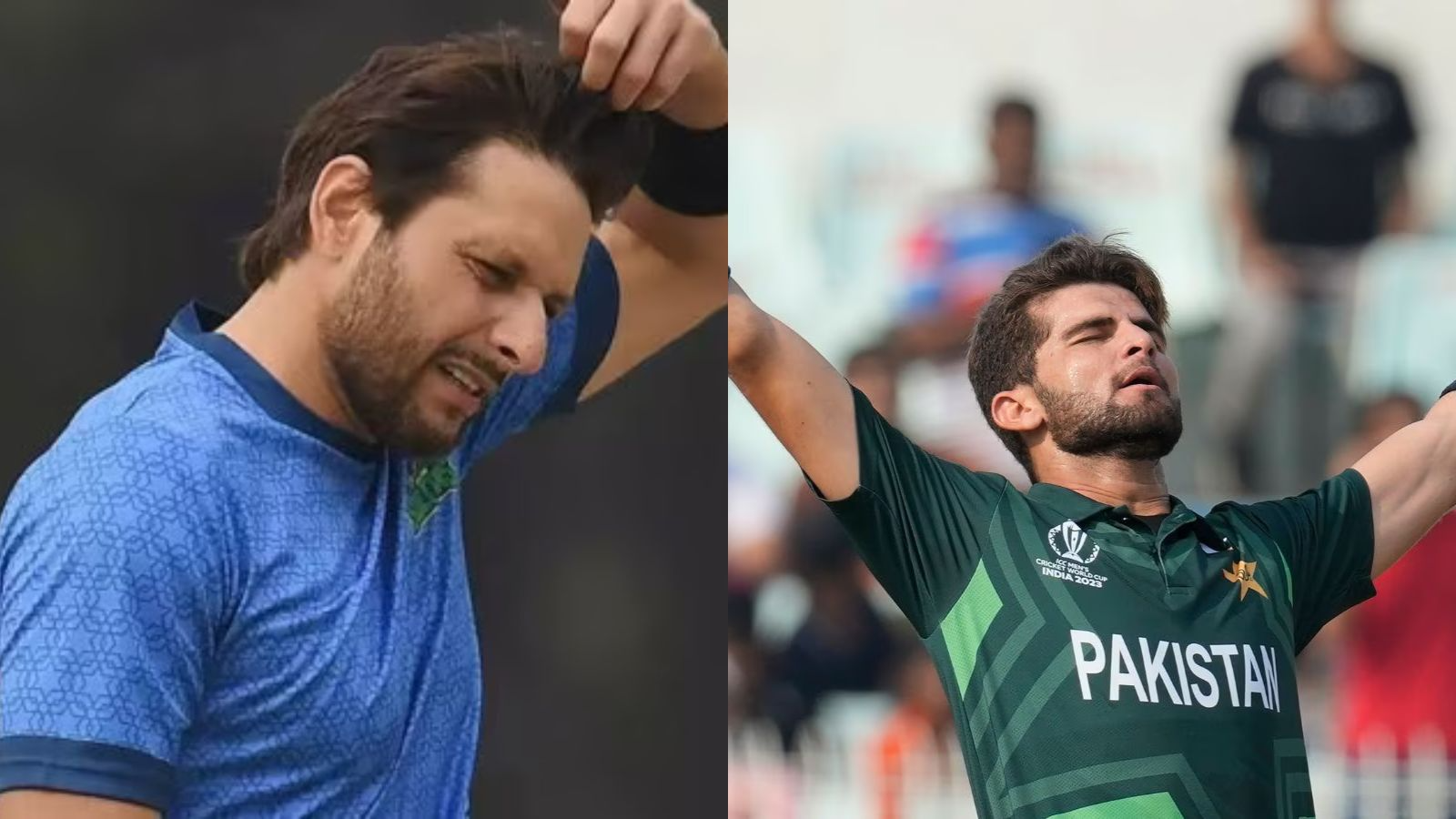 say afridi does not want to see his own son in law as captain know what is the matter
