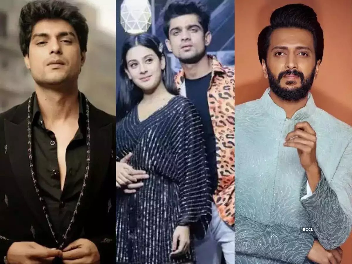 What Did Riteish Deshmukh Tweet In Support Of Bigg Boss Contestant Abhishek Satya Day