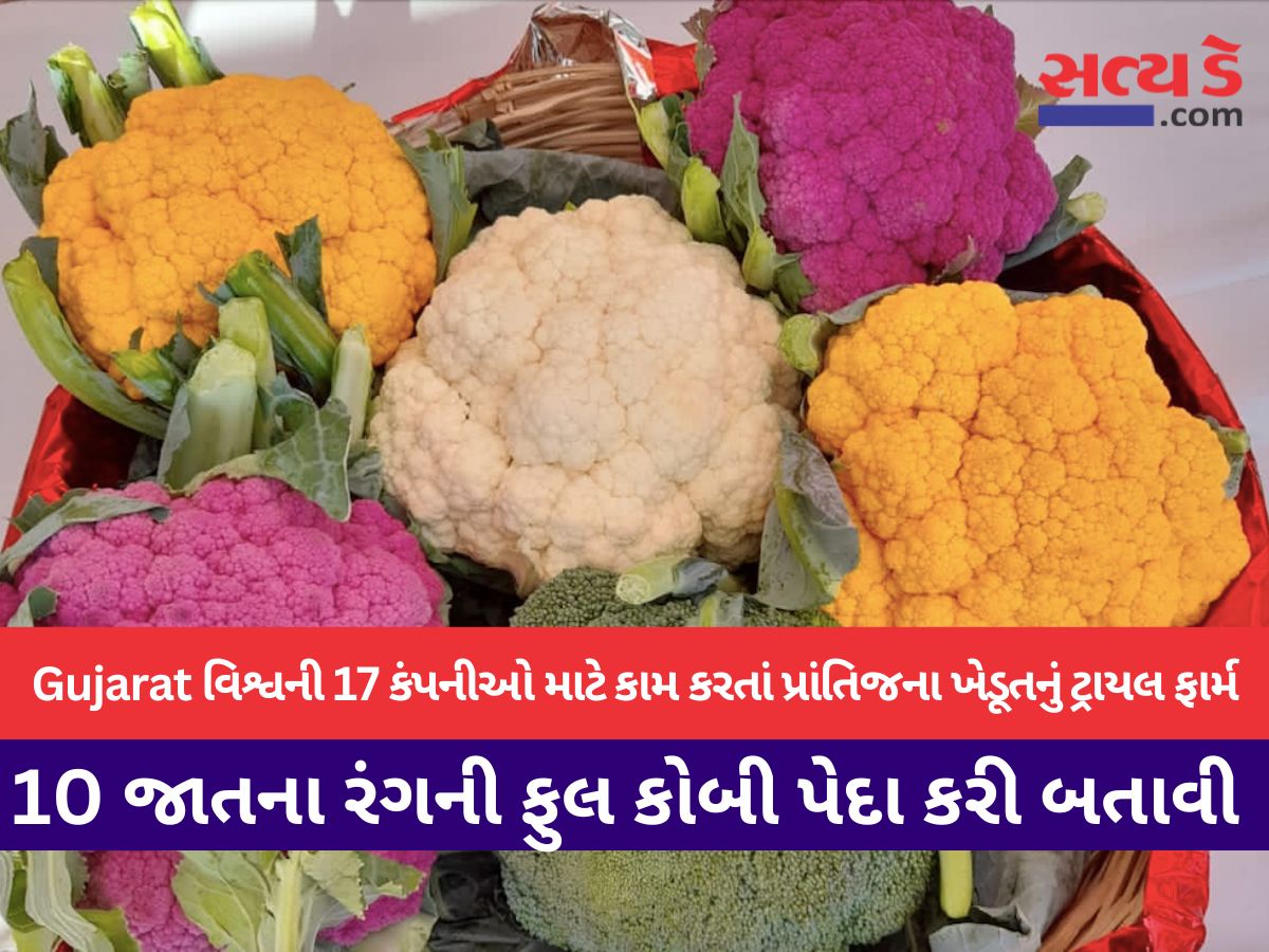 10 varieties of colored cauliflowers