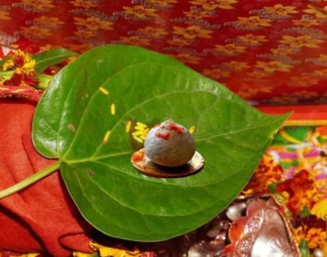 67 Satya Day
