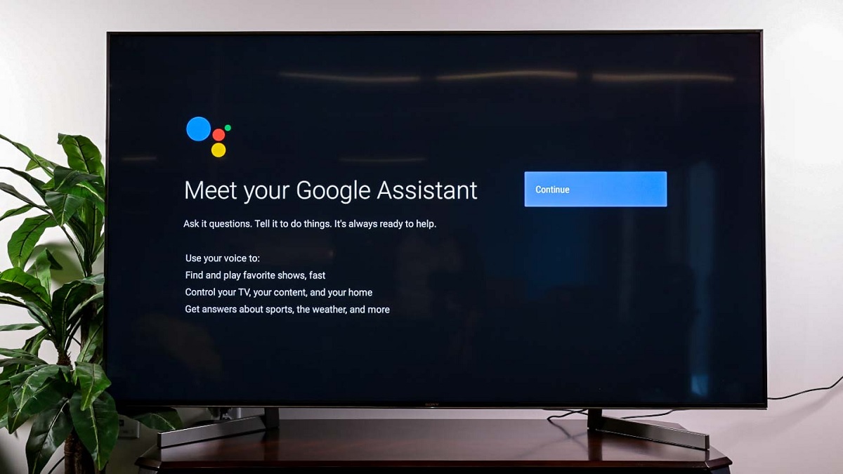 Google Assitant Feature.
