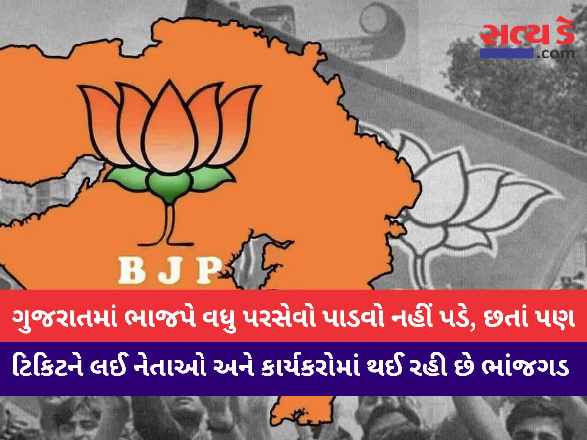 Gujarat Bjp News