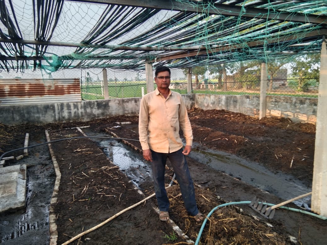 Maheshbhai Khedut