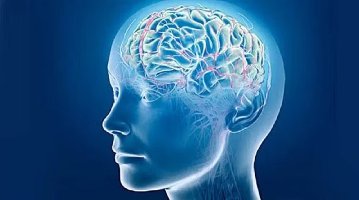 Brain Satya Day