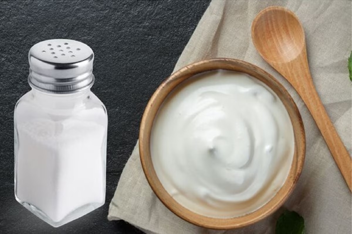 Curd With Salt.1