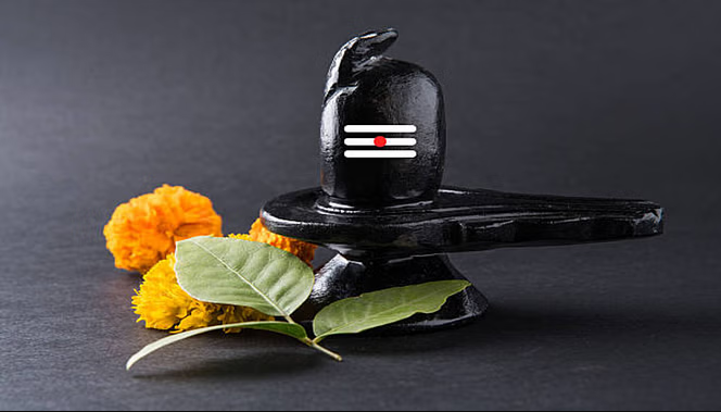 J66Hzsfo 11 Satya Day