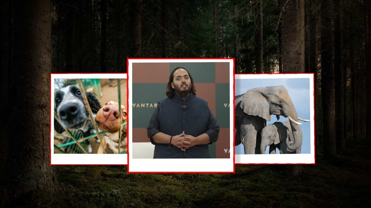 Vantara.2