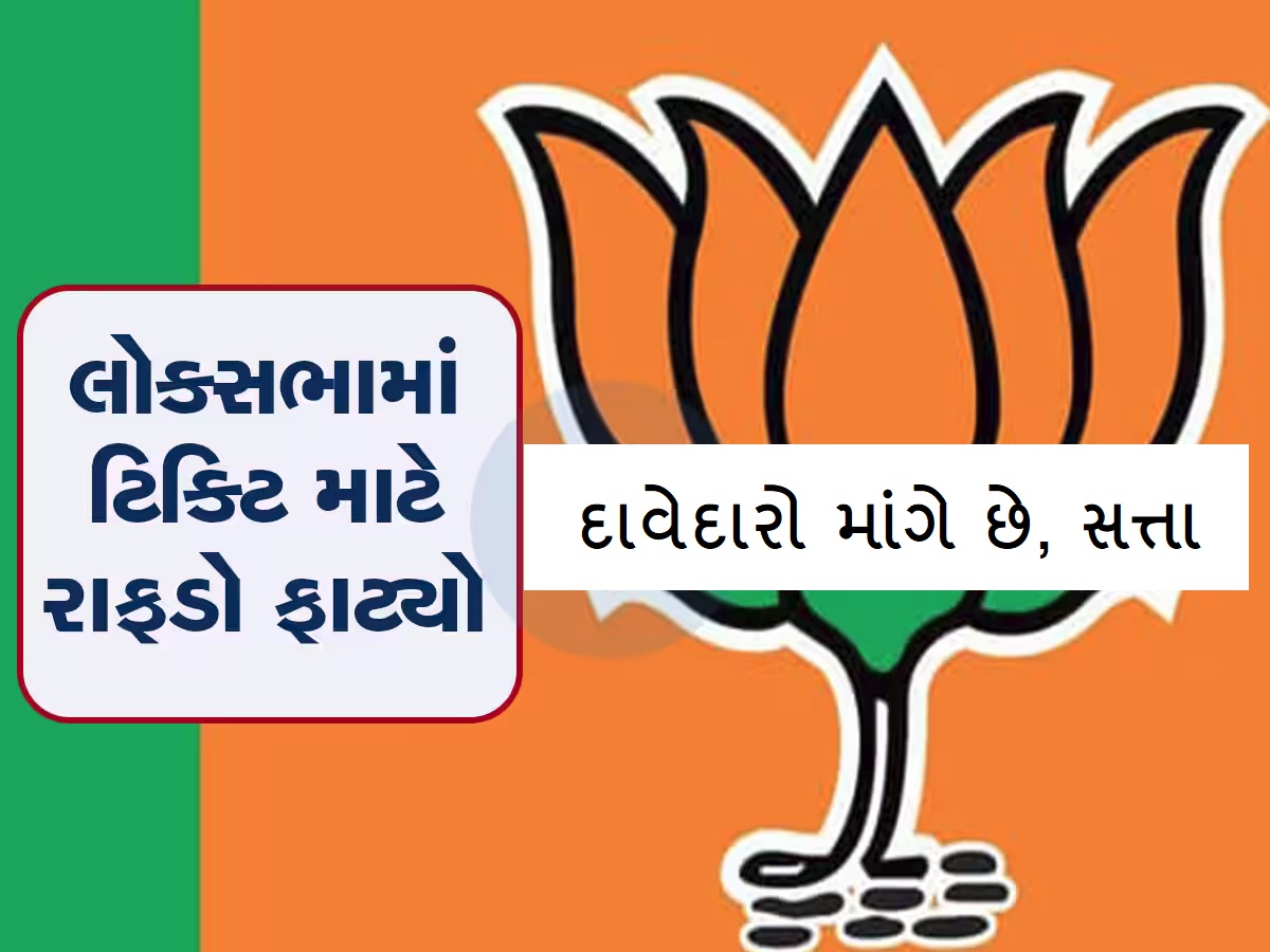Gujarat Lok Sabha 443 contenders of BJP on 26 Lok Sabha seats