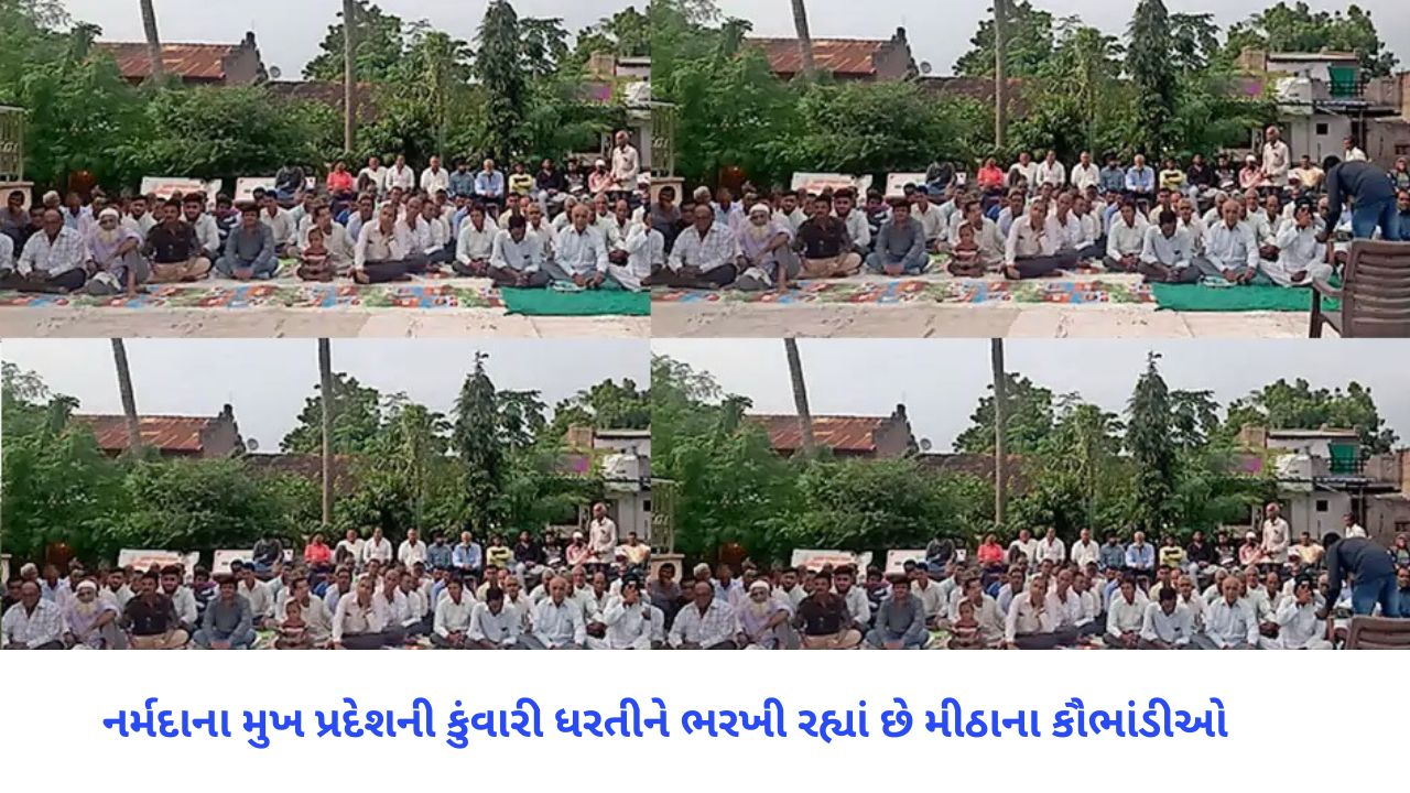 ભાડભૂત બંધ યોજના