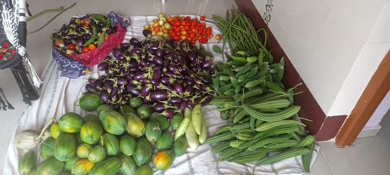 ખેડૂતની ખેતી ક્રાંતિ