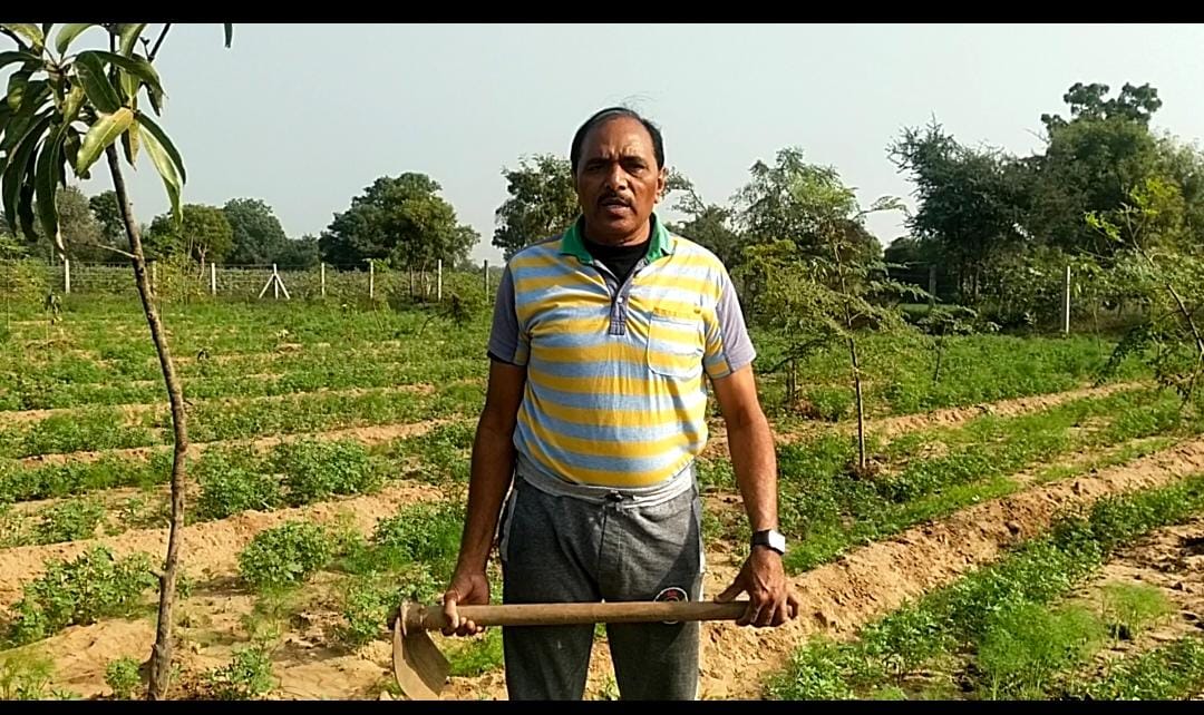 કૃષિ અર્થશાસ્ત્રી