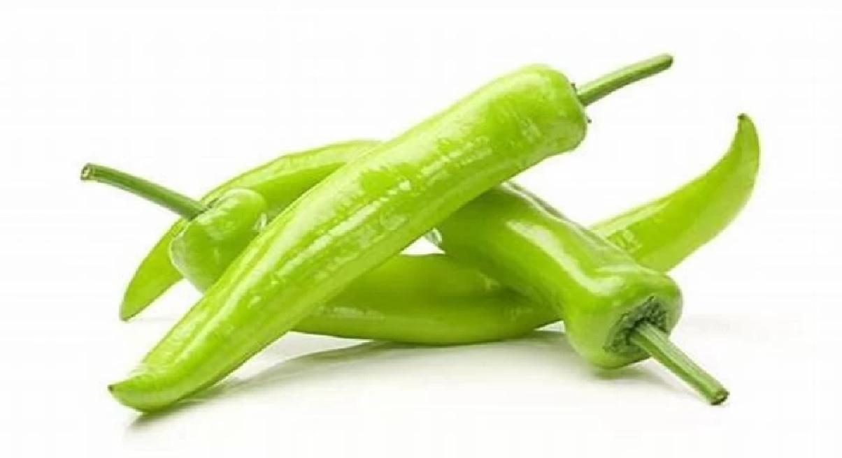 Chilli1 Satya Day