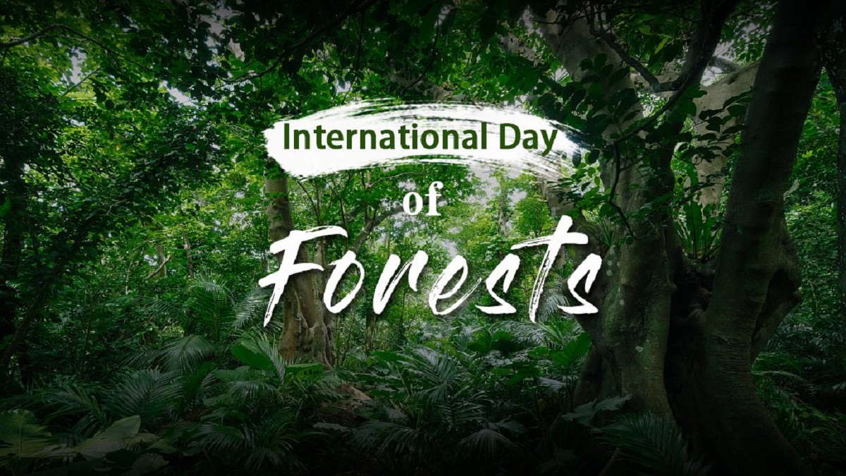 International Day Of Forests