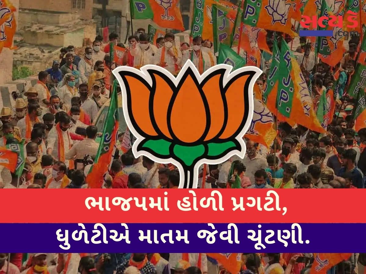 ભાજપમાં હોળી