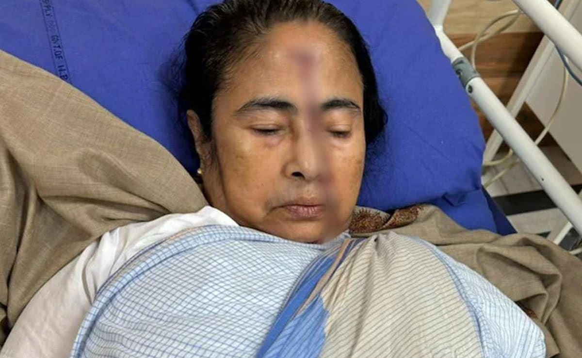 mamta banerjee