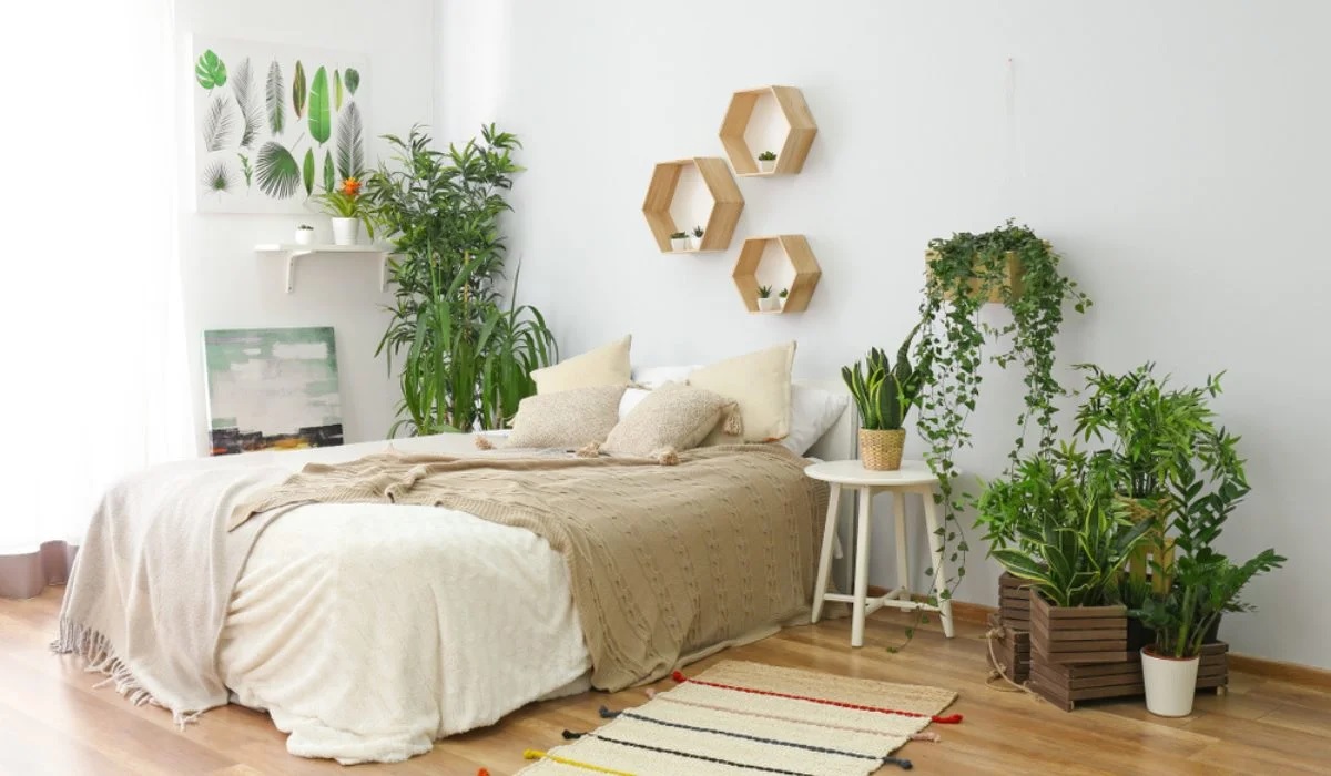 Plants Satya Day