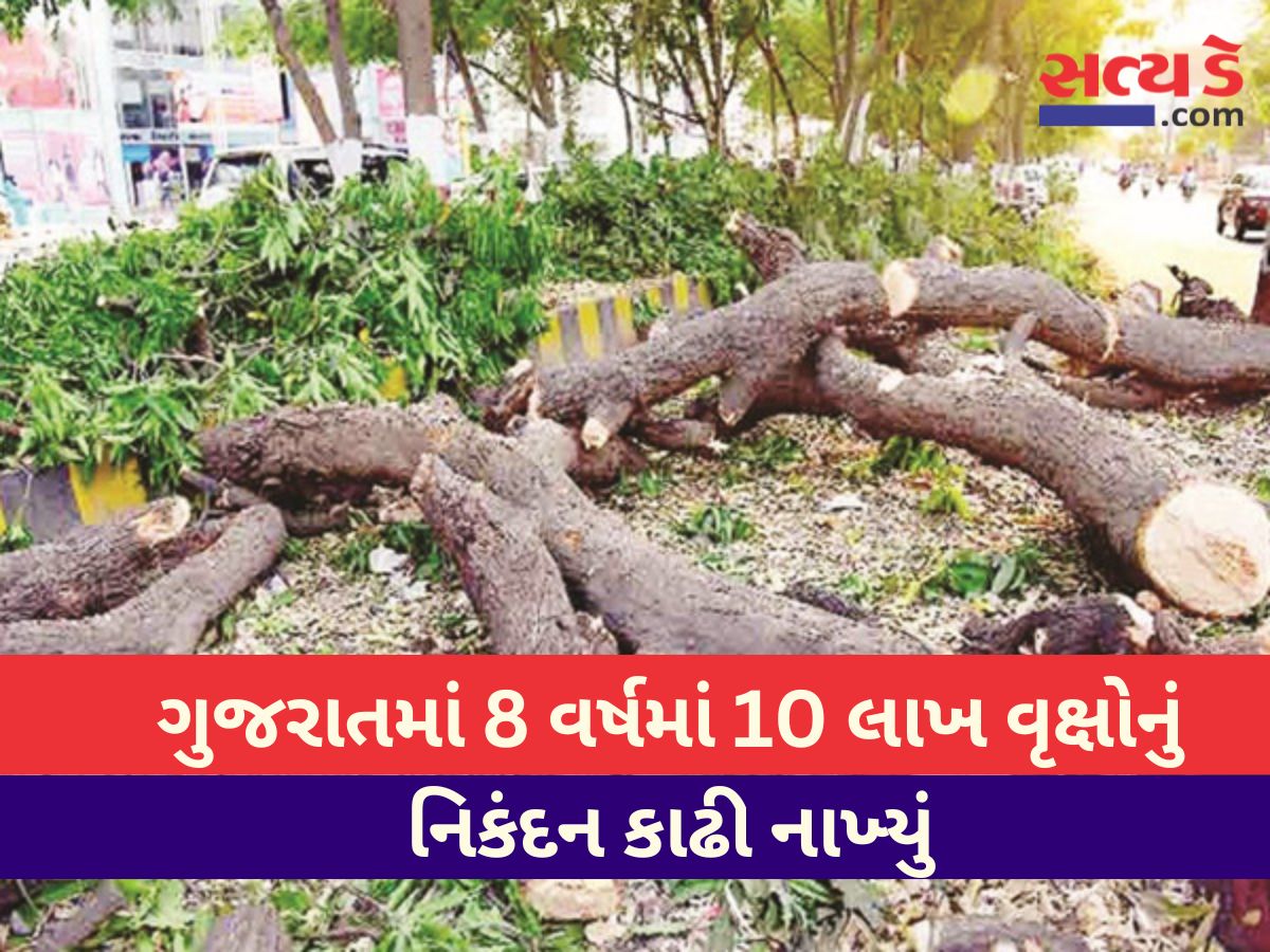 gujrat tree