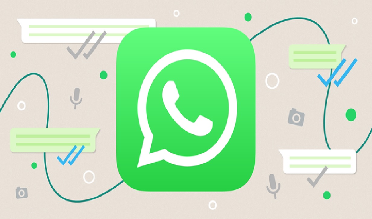 whatsaap