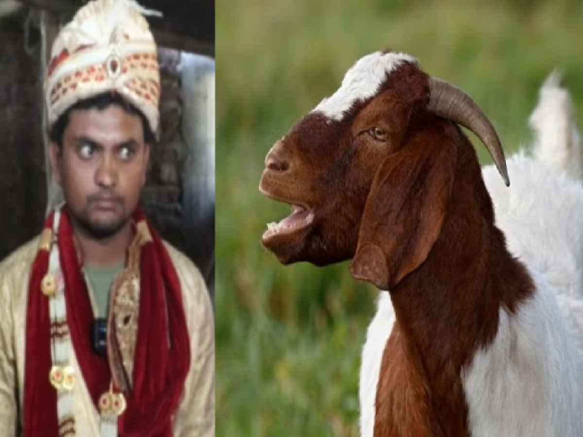 C3Mpjtof Viral Video News Satya Day