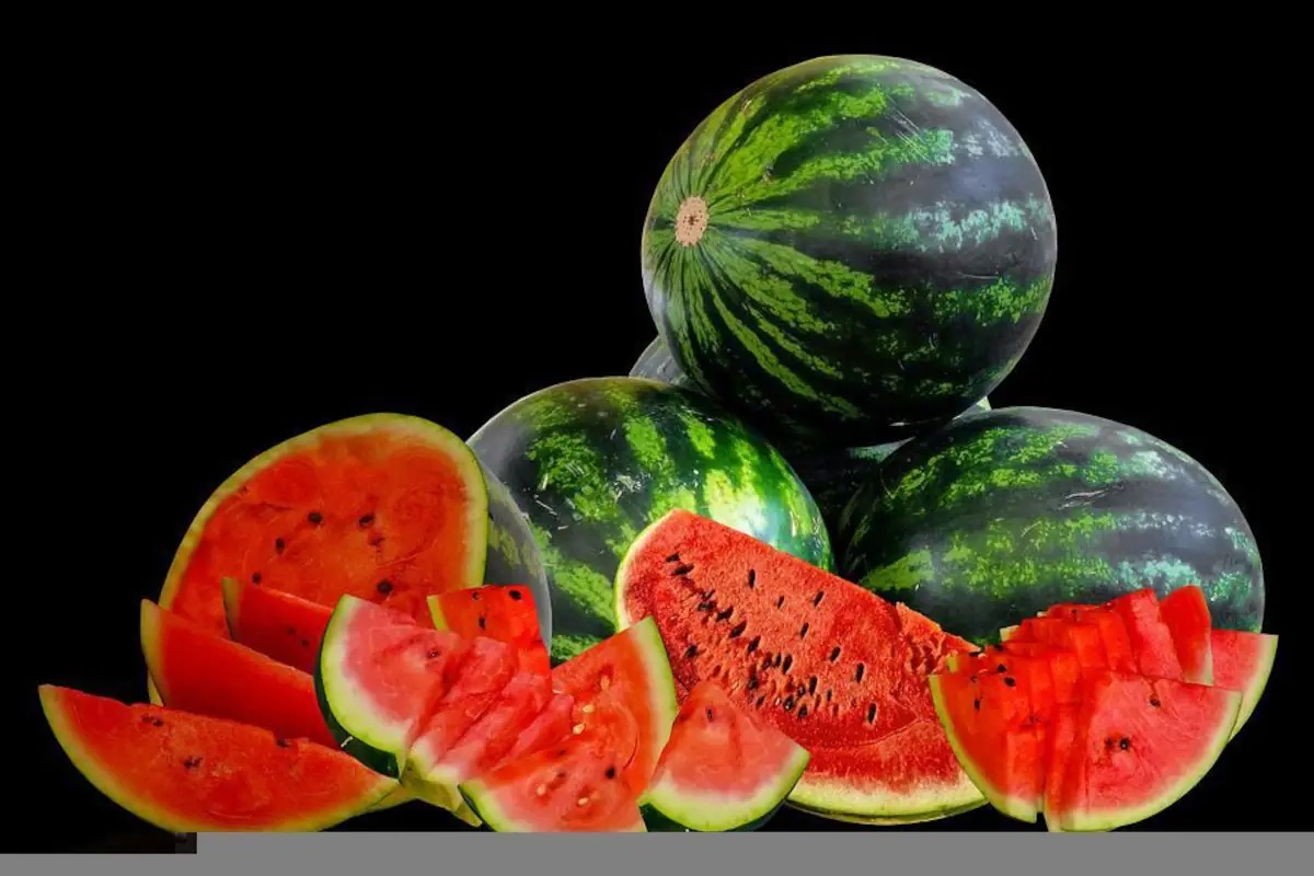 Watermelon Storage Tips