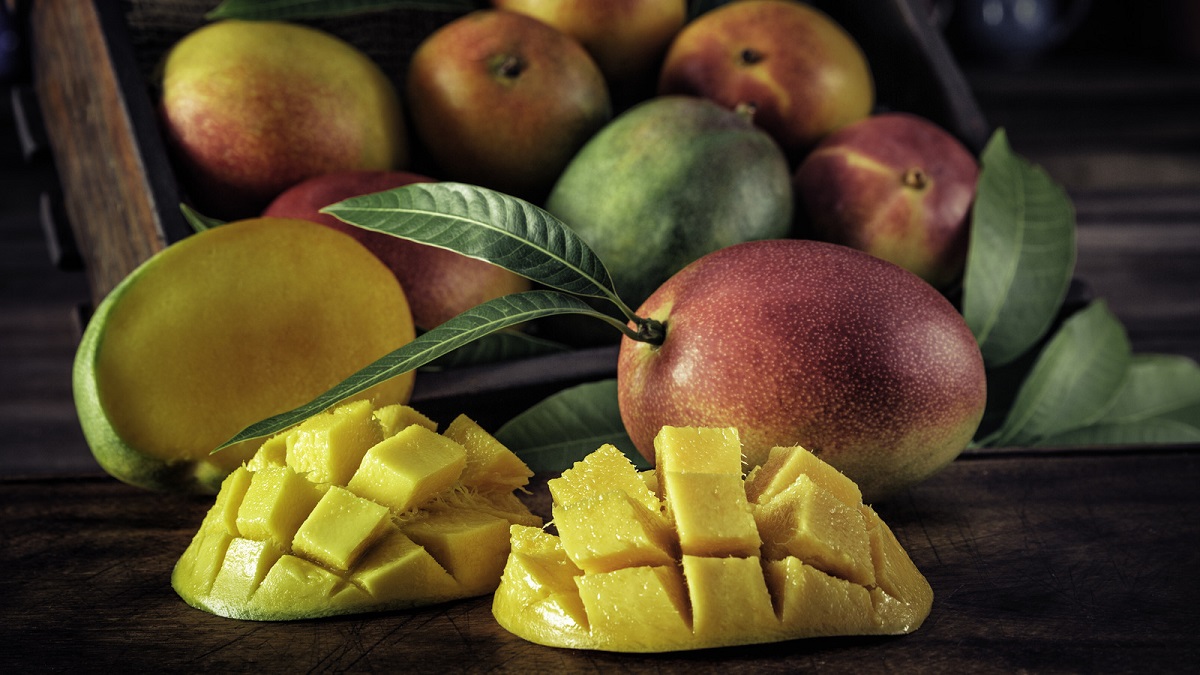 Mango Satya Day