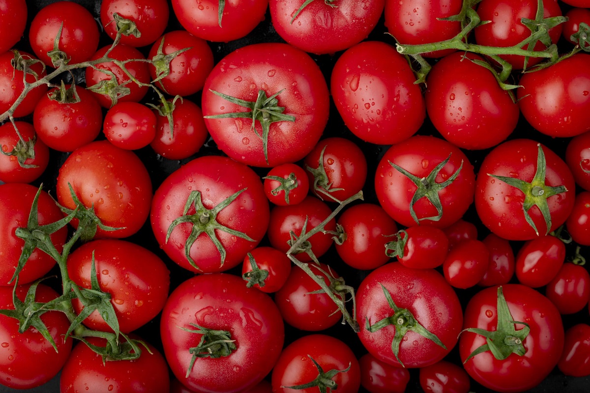 Tomato Storage Tips