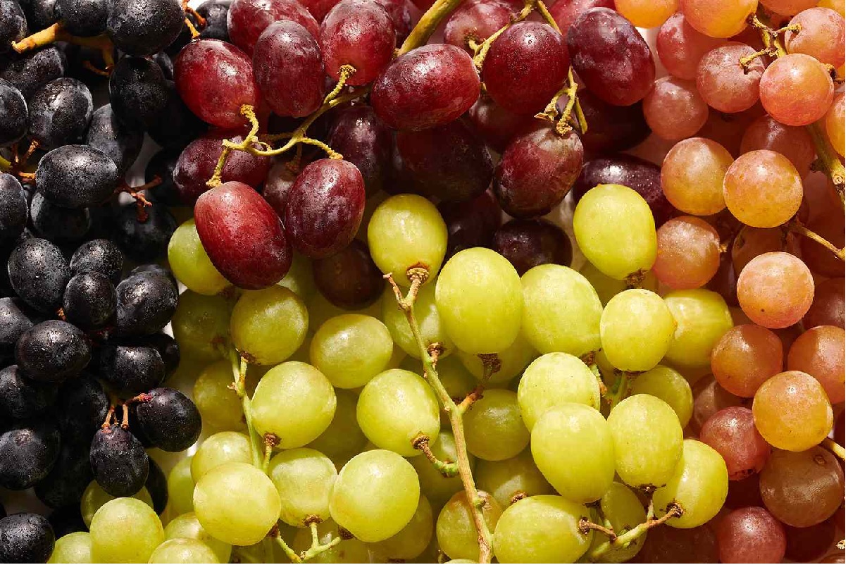 Grape Satya Day
