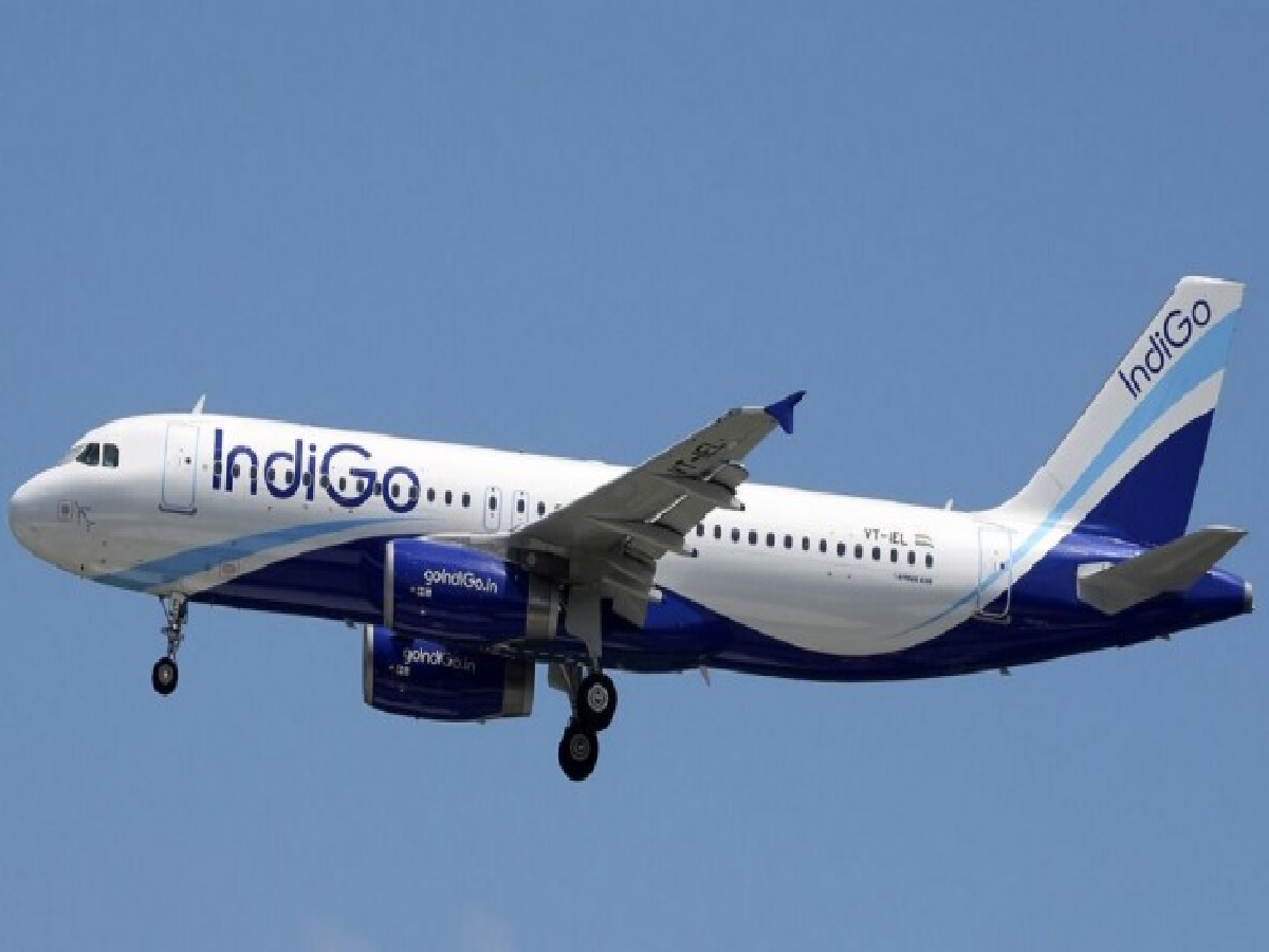 indigo