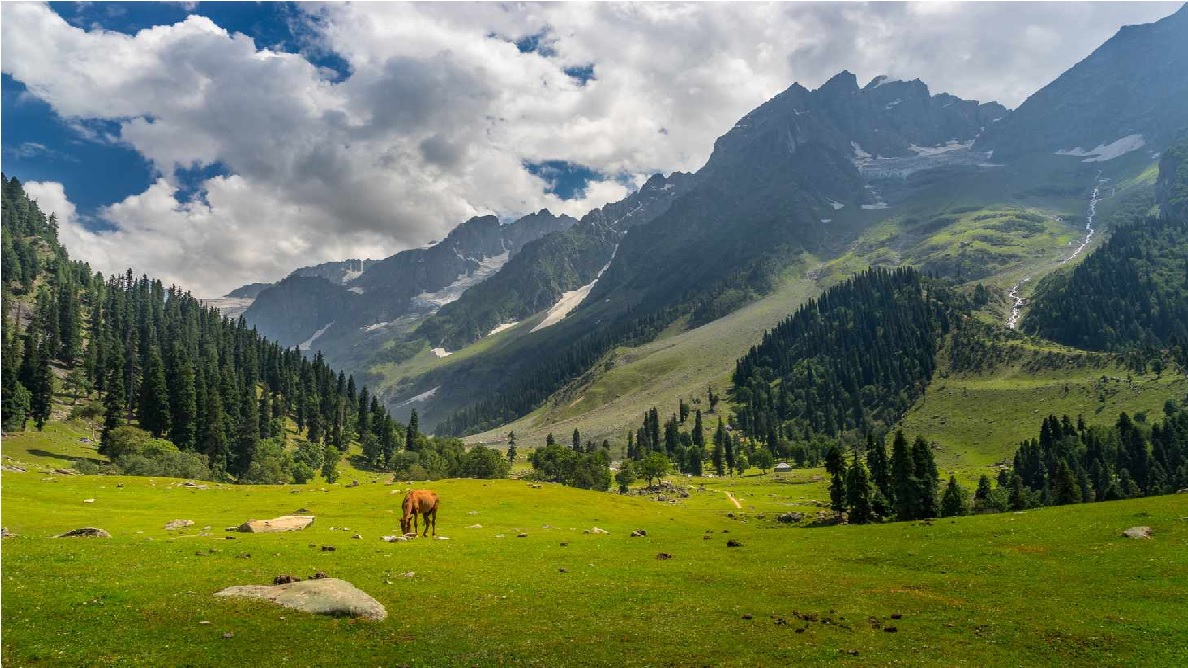 Kashmir Travel: