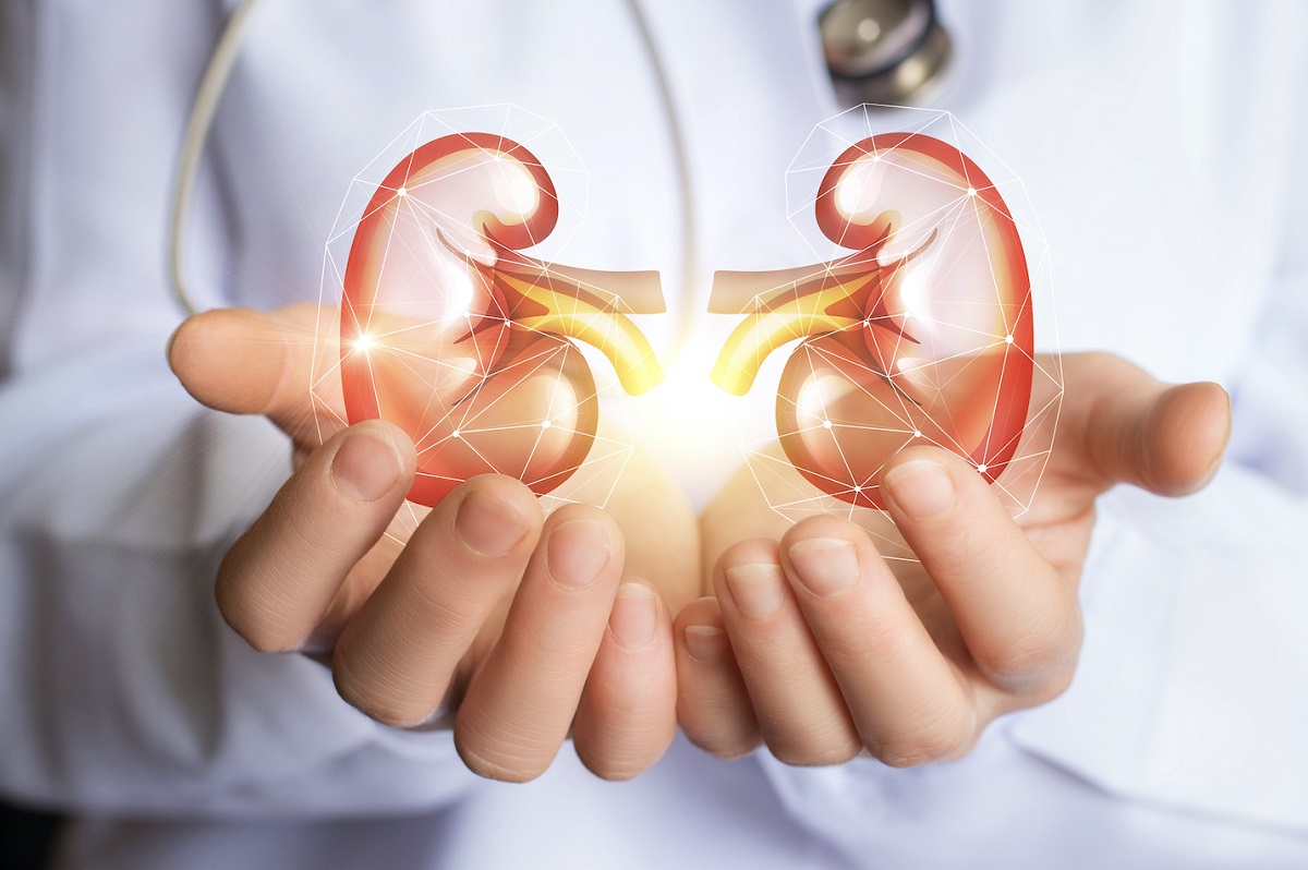 Kidney Satya Day