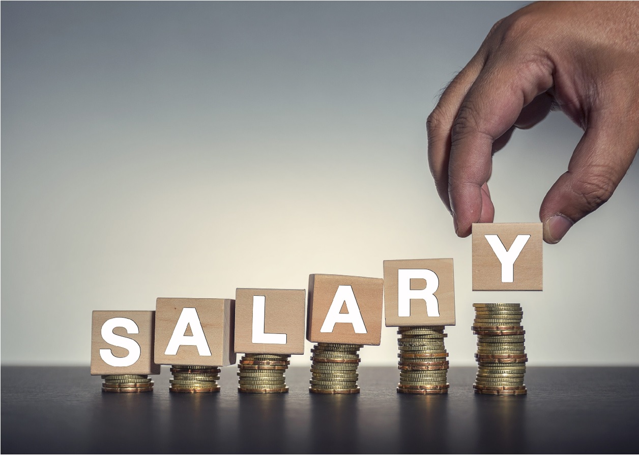 Basic Salary