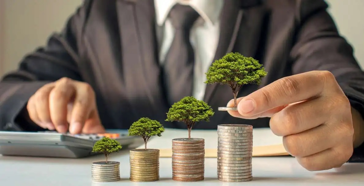 Financial Tips