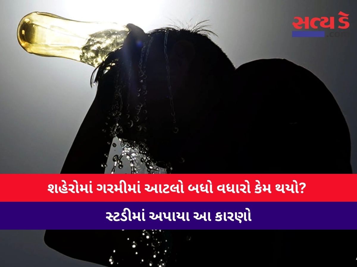 Copy Of Satyaday Web 3 2 Satya Day