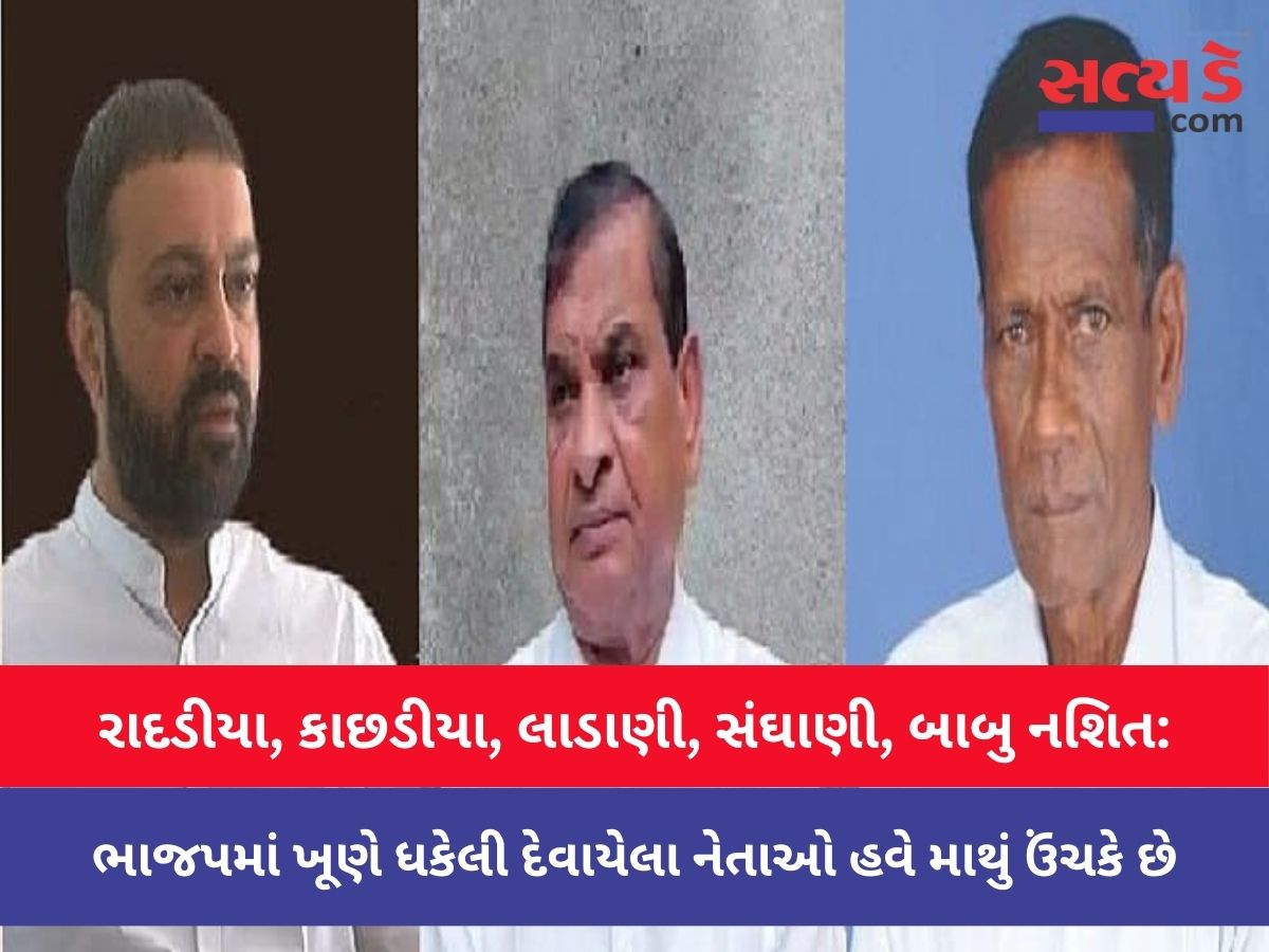 Copy Of Satyaday Web 6 Satya Day