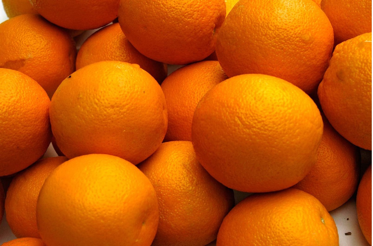 Orange Satya Day