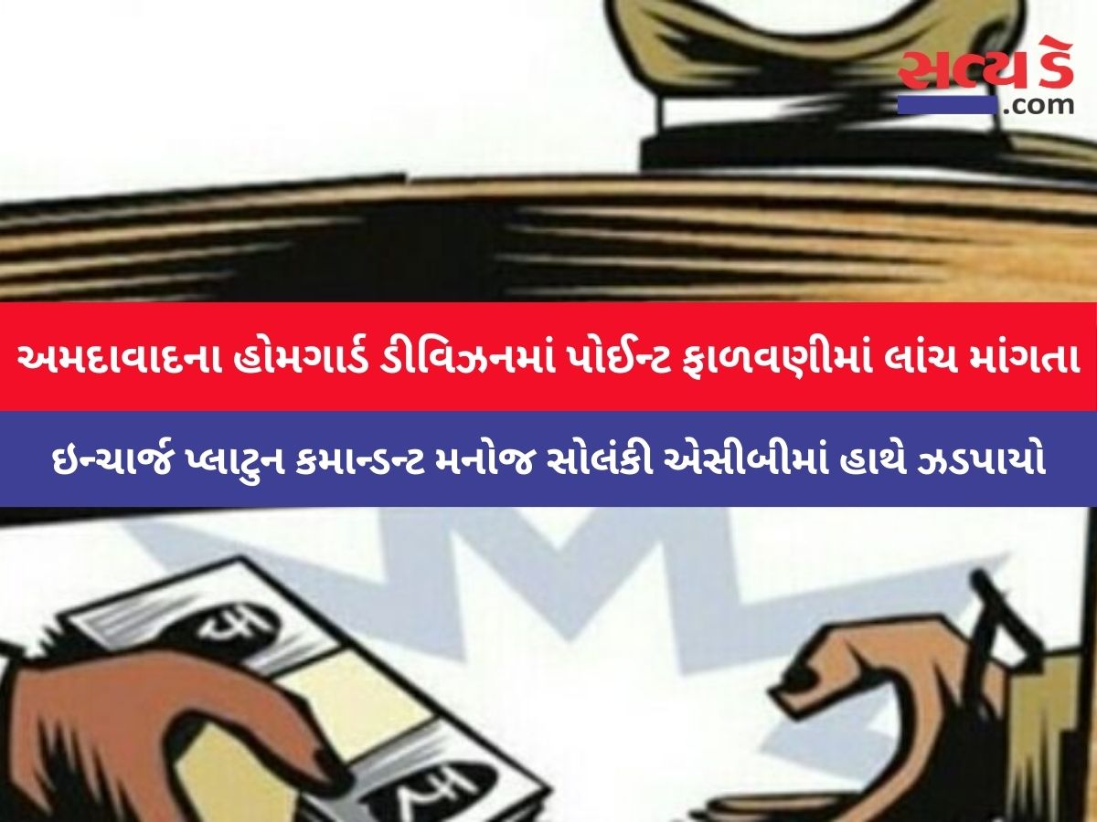 WhatsApp Image 2024 05 04 at 2.55.48 PM