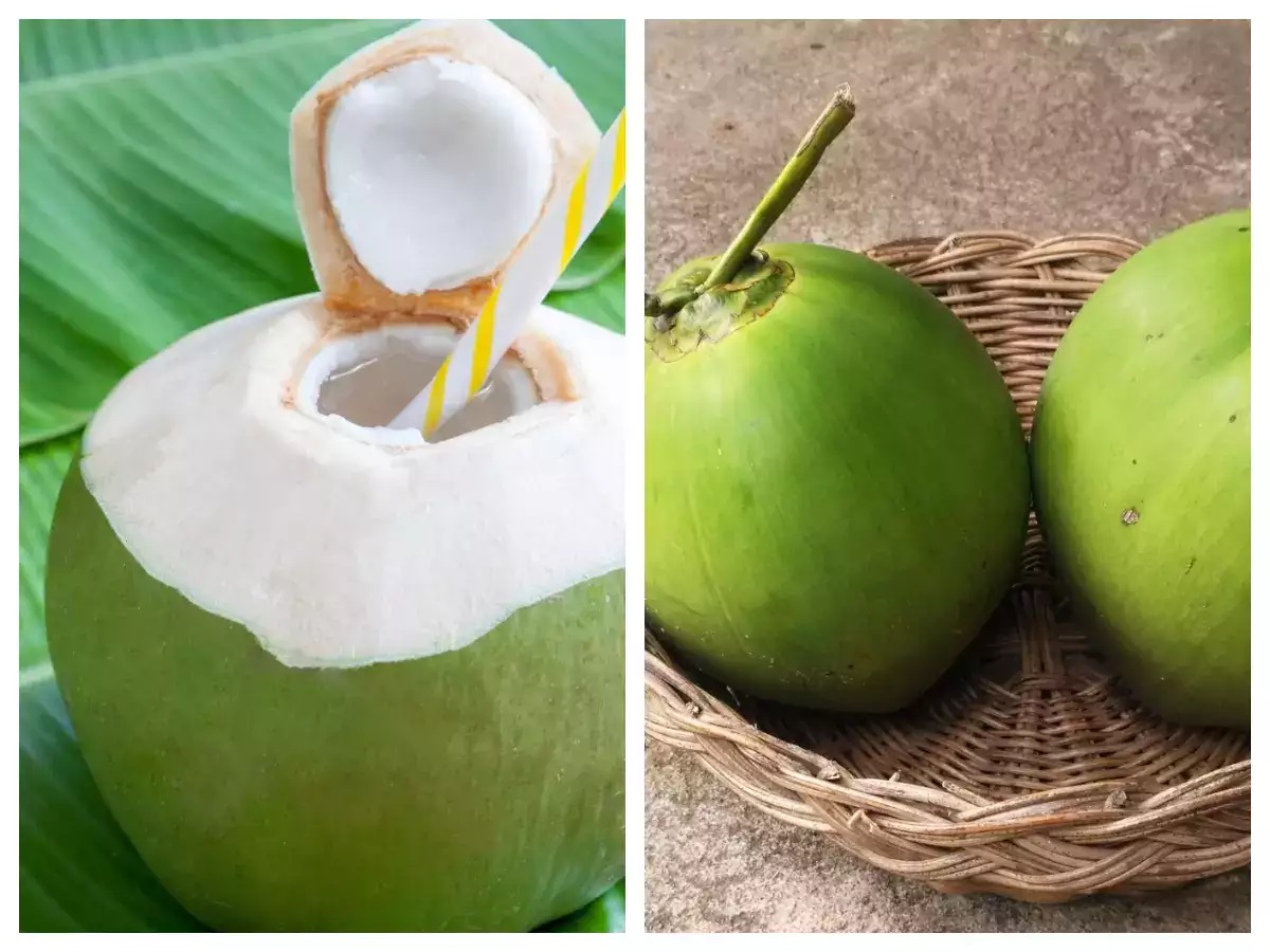 Perfect Coconut