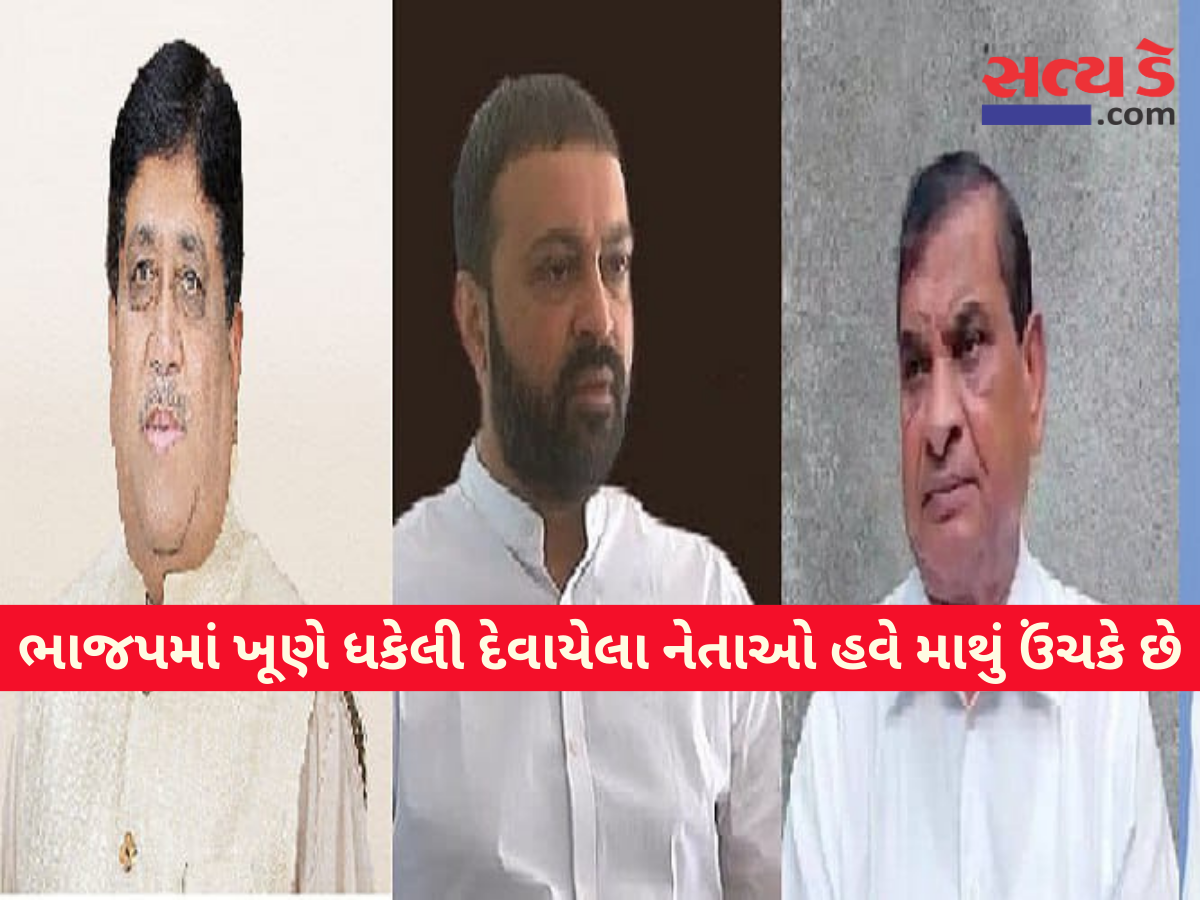 leaders in BJP are now raising their heads