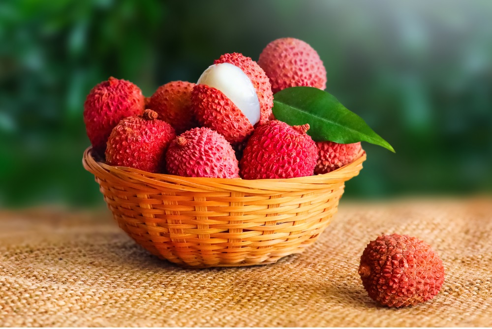 litchi 1