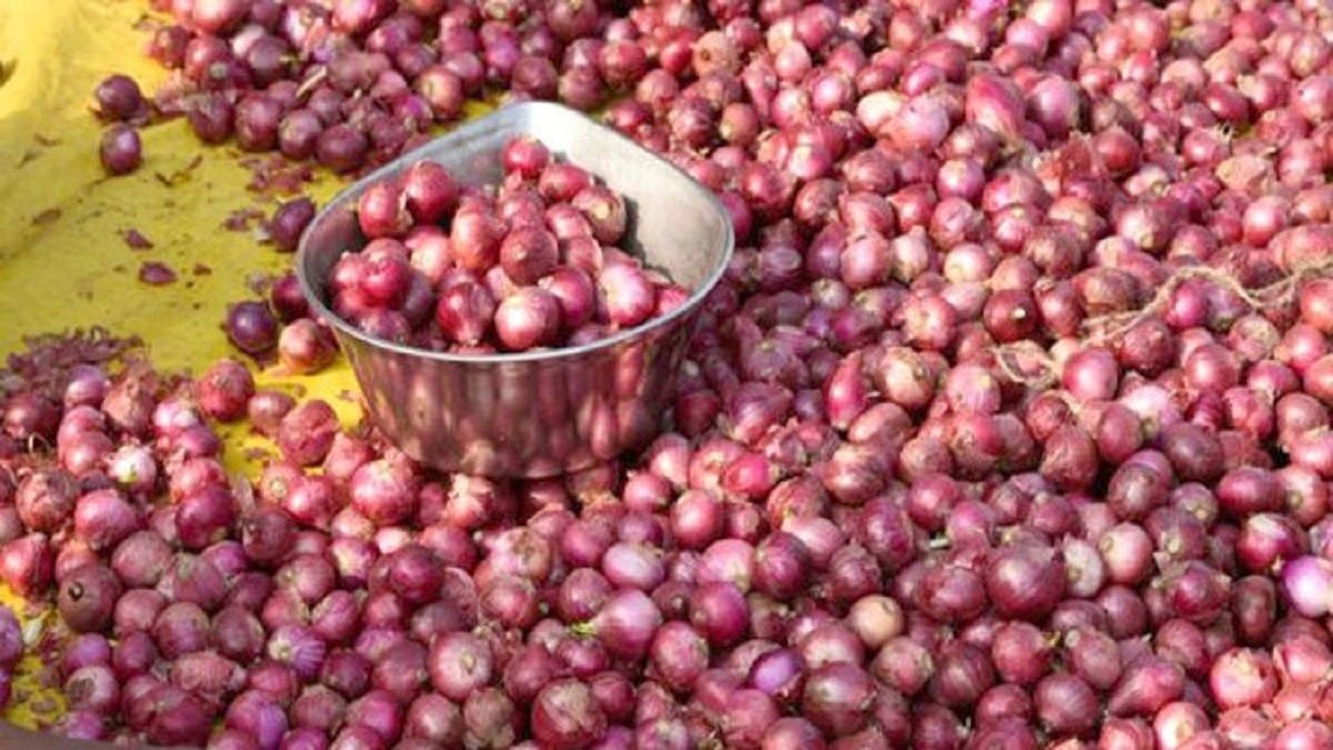 tomato price