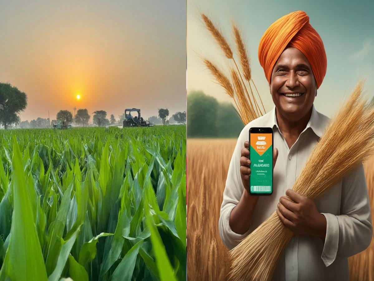 PM Kisan Yojana: ખાતામાં હજુ 17મો હપ્તો નથી પહોંચ્યો, તમને અહીં મળશે ઉકેલ Scheme