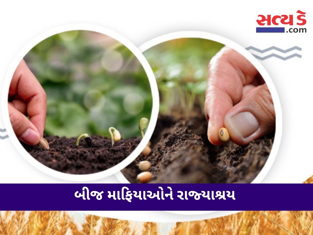skHLKvQS Copy of Satyaday Web