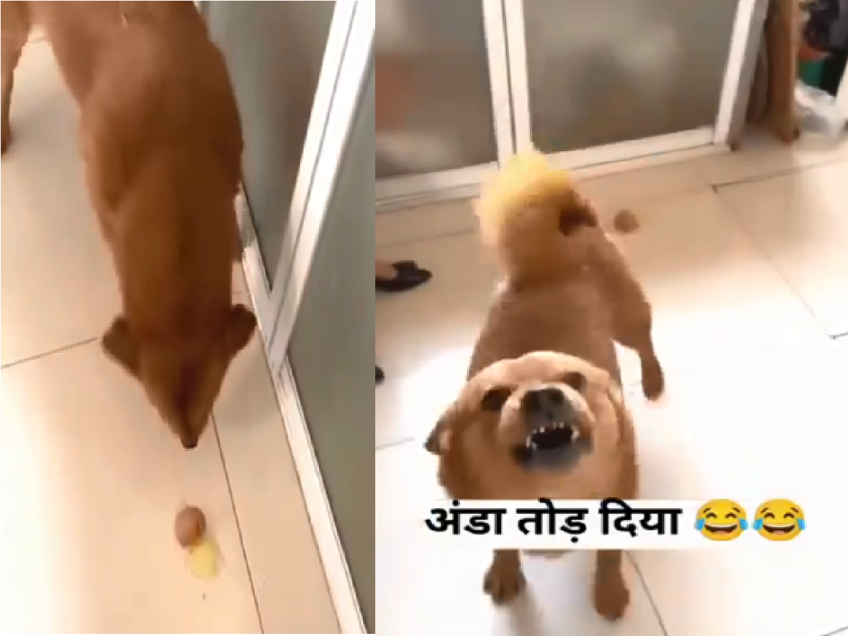 GbUVHUpb viral video 5