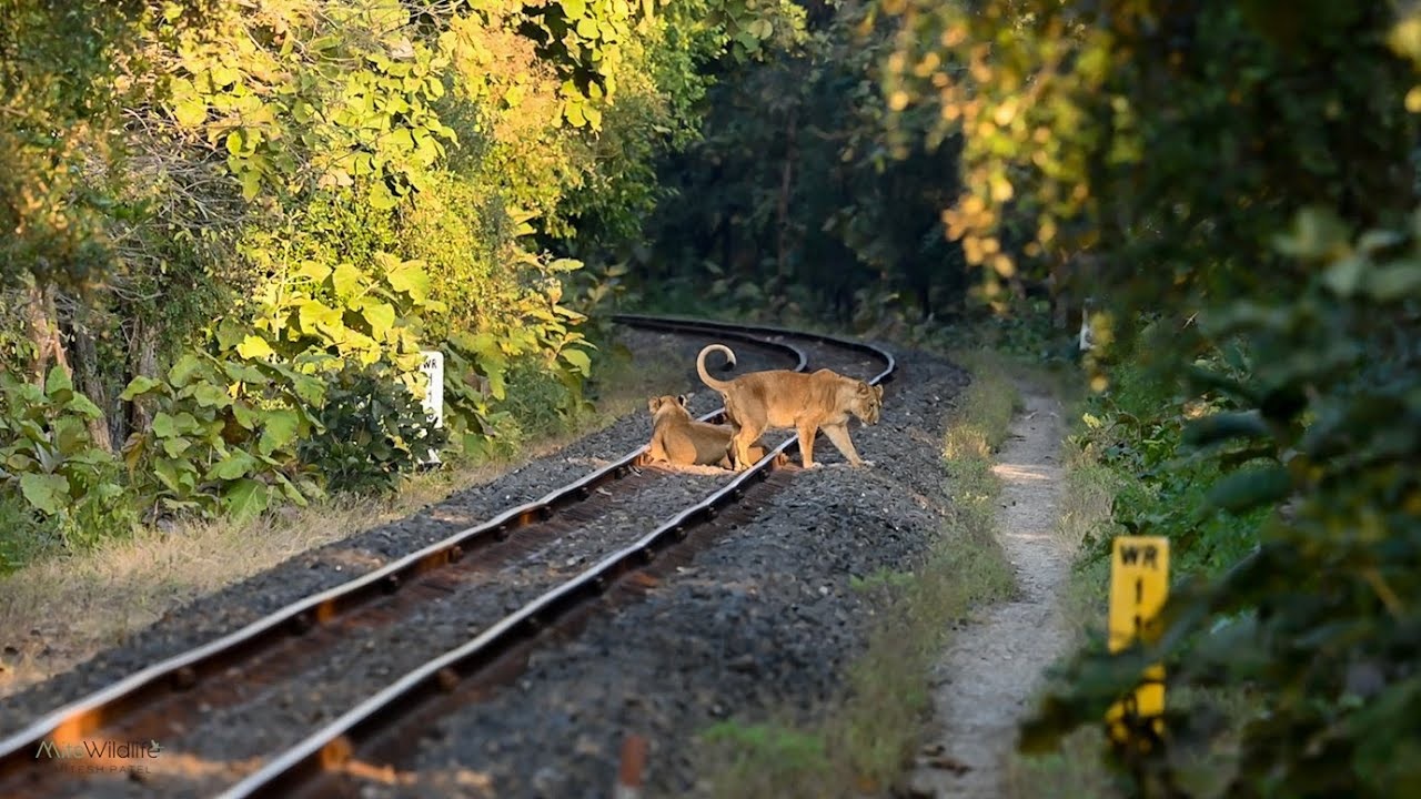 PRATIKATMAK TASVEER