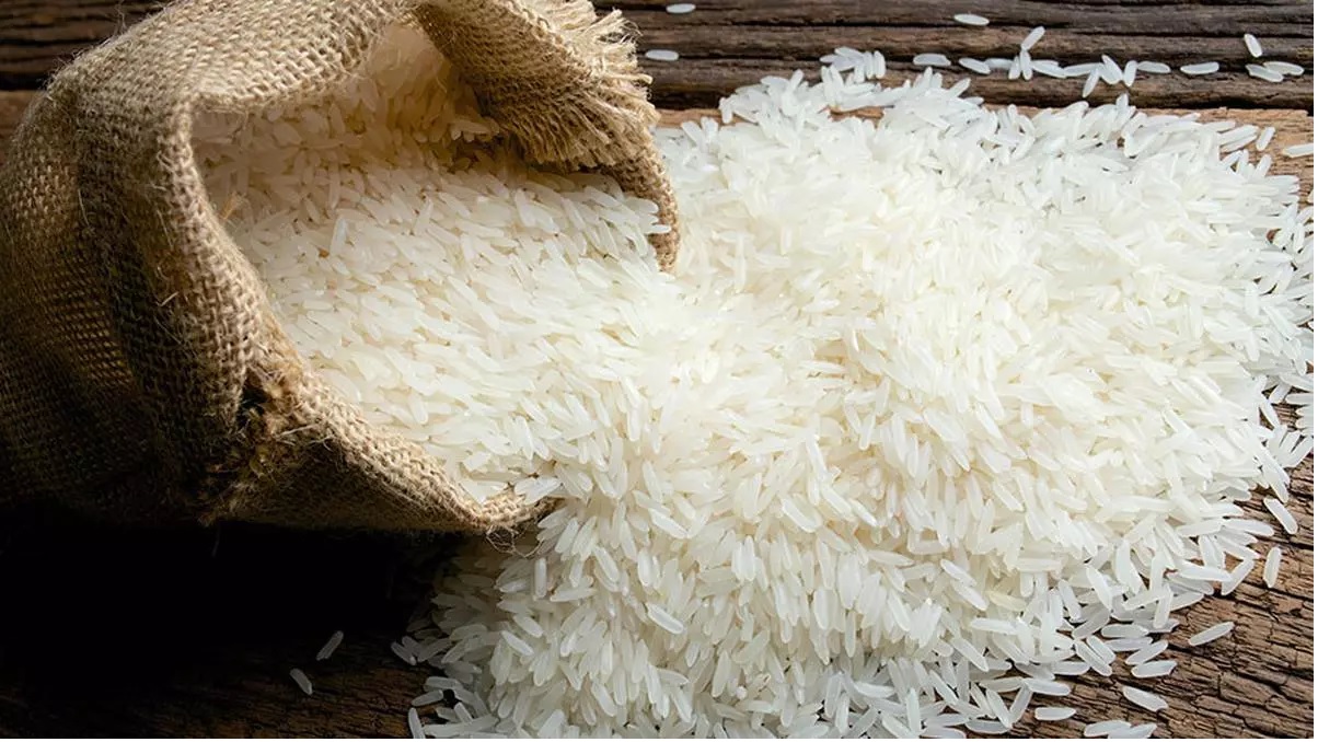RICE 1