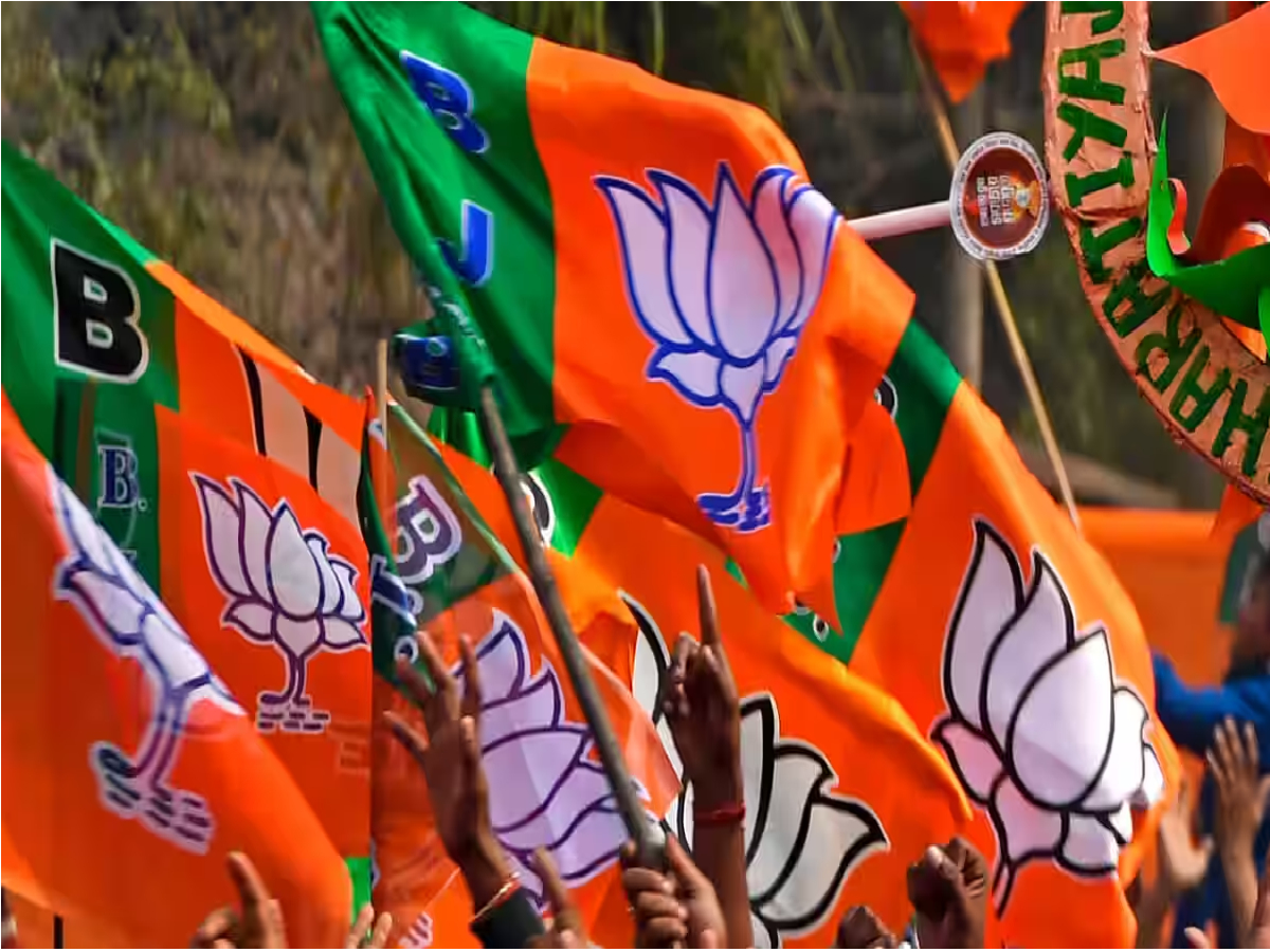 bjp Maharashtra Election 2024