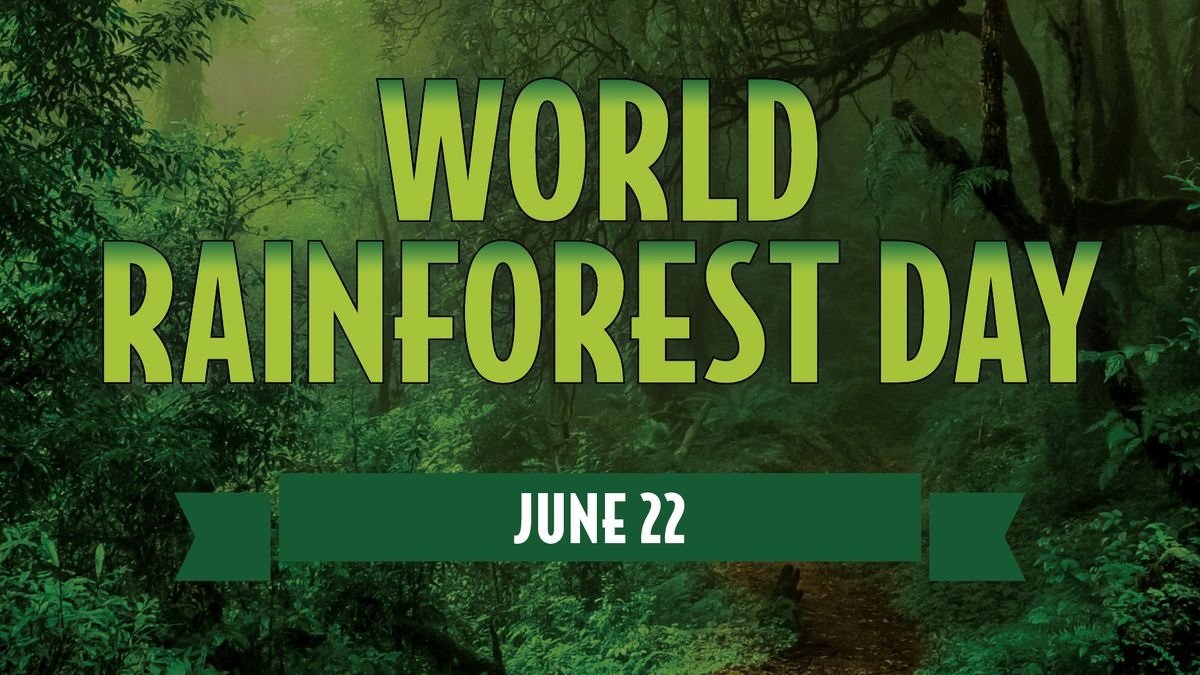 Forest 1 Satya Day