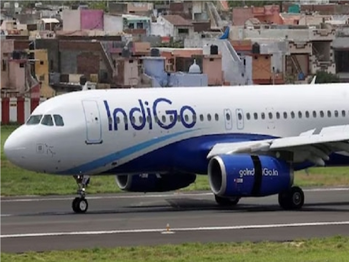 indigo