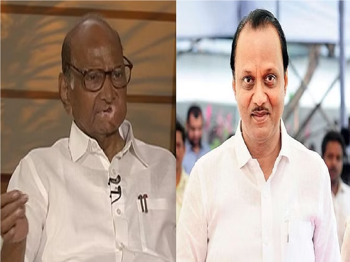 Maharashtra Elections 2024
