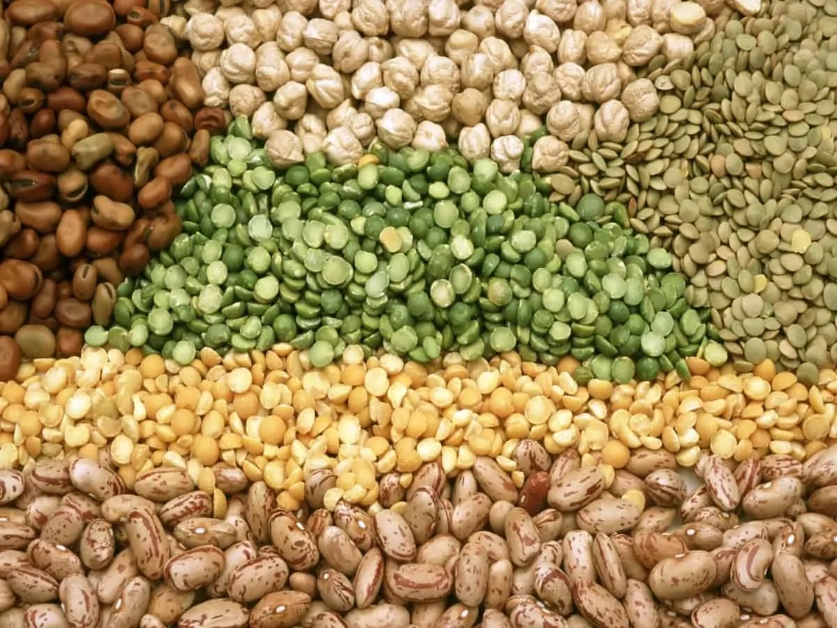 pulses